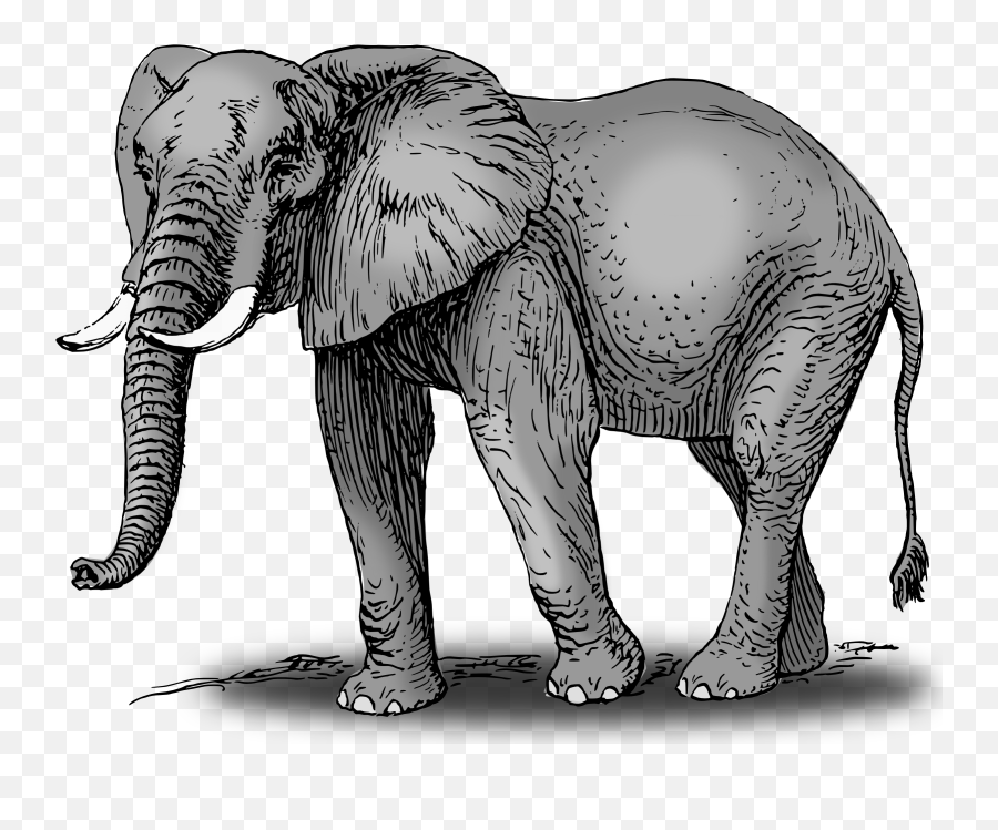 Elephant God Transparent Png Clipart - Elephant Drawing With Colour,Elephant Clipart Transparent Background