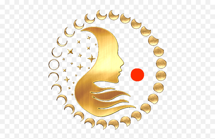 Shop - Nourishing Life Ovulation Chart Png,Transparent Gold Website Icon