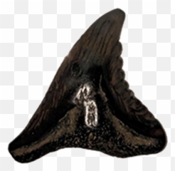 Soon The Dark Eco Will Be Ours Gol And Maiau0027s Precursor - Fictional Character png