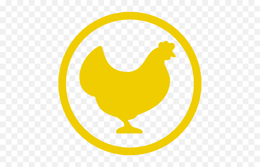 Chickensyou - Your Guide To Keeping Chickens At Home Png,Poultry Icon