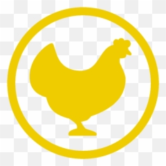 Chickensyou - Your Guide To Keeping At Home png