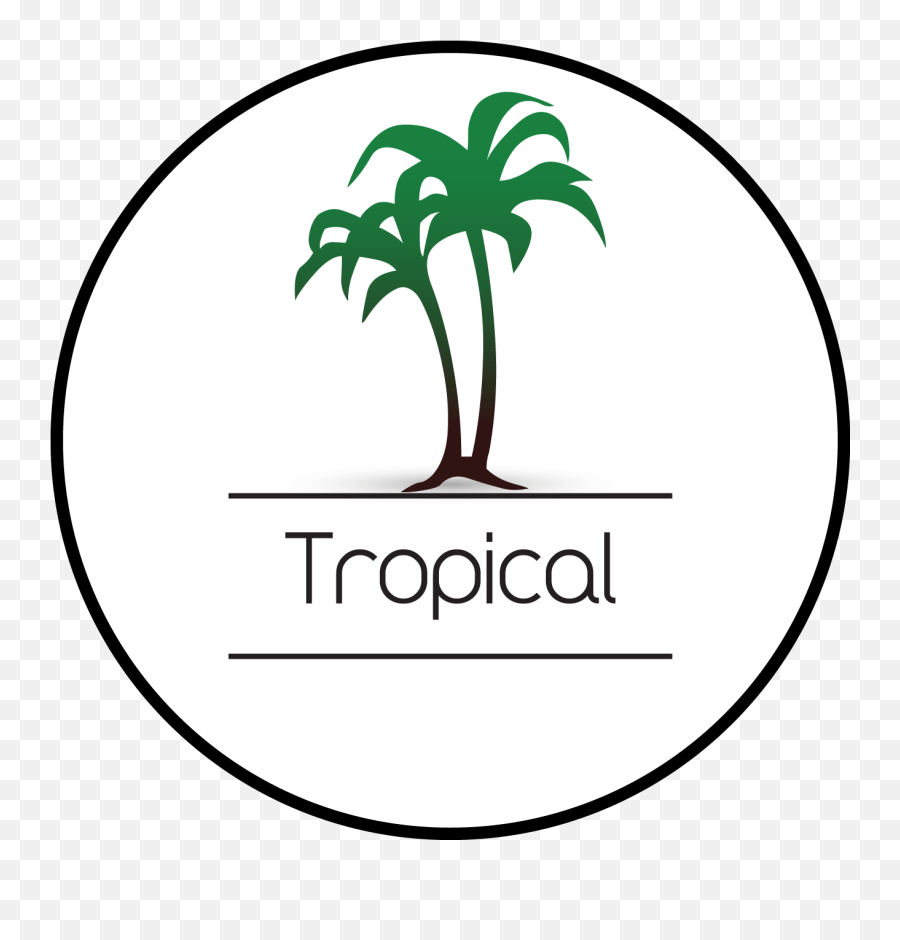 Tropical U2013 Yolo Cosmetics - Sunset Png Logo,Tropical Icon