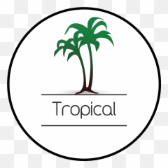 Tropical U2013 Yolo Cosmetics - Sunset Png Logo