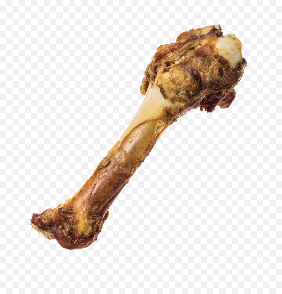 Bone Png - Shank Bone,Bone Transparent Background