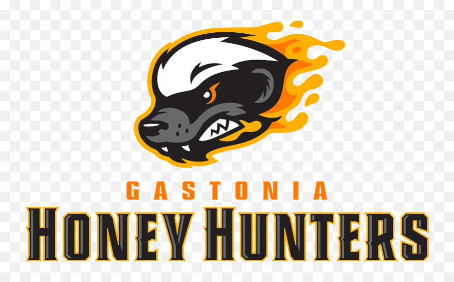 Gastonia Honey Hunters - Wikipedia Gastonia Honey Hunters Logo Png,Honey Badger Icon
