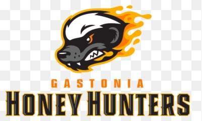 Gastonia Honey Hunters - Wikipedia Logo png