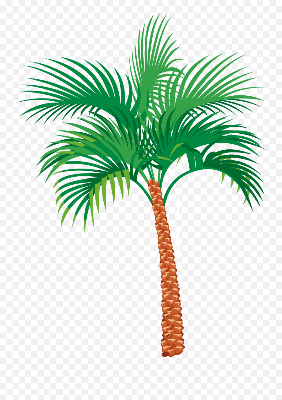 Palm Tree Png Clipart 32 Image Download Vector - Palm Tree Pic Vector,Palm Tree Clipart Png