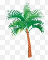 Palm Tree Png Clipart 32 Image Download Vector - Pic