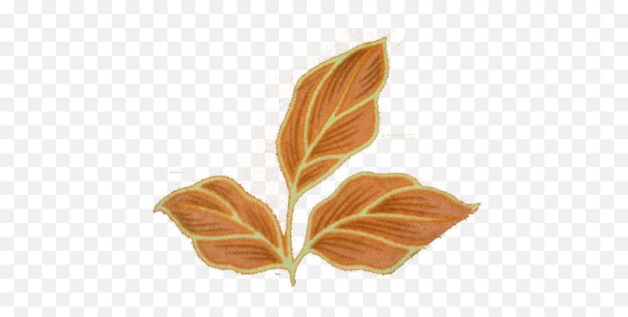 Nature - Png Heartpngcom,Gold Leaf Png
