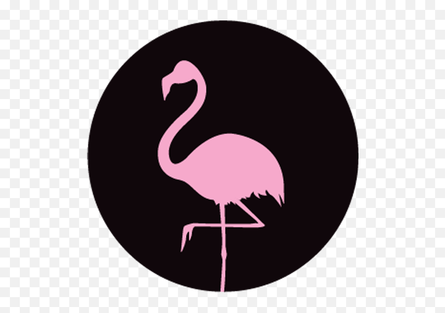 Movies - Greater Flamingo Png,Flamingo Logo