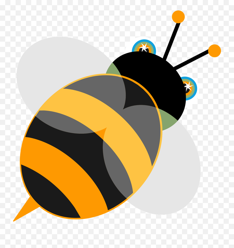 900 Free Bumblebee U0026 Bee Images - Pixabay Spelling Bee Png,Bee Transparent Background
