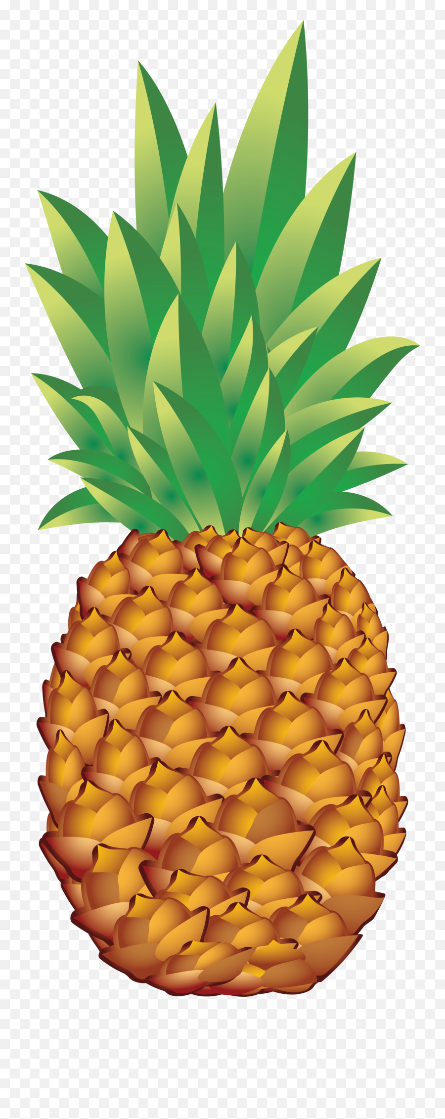 Svg Transparent Library Png Files - Pineapple Png Clipart,Pineapple Clipart Png