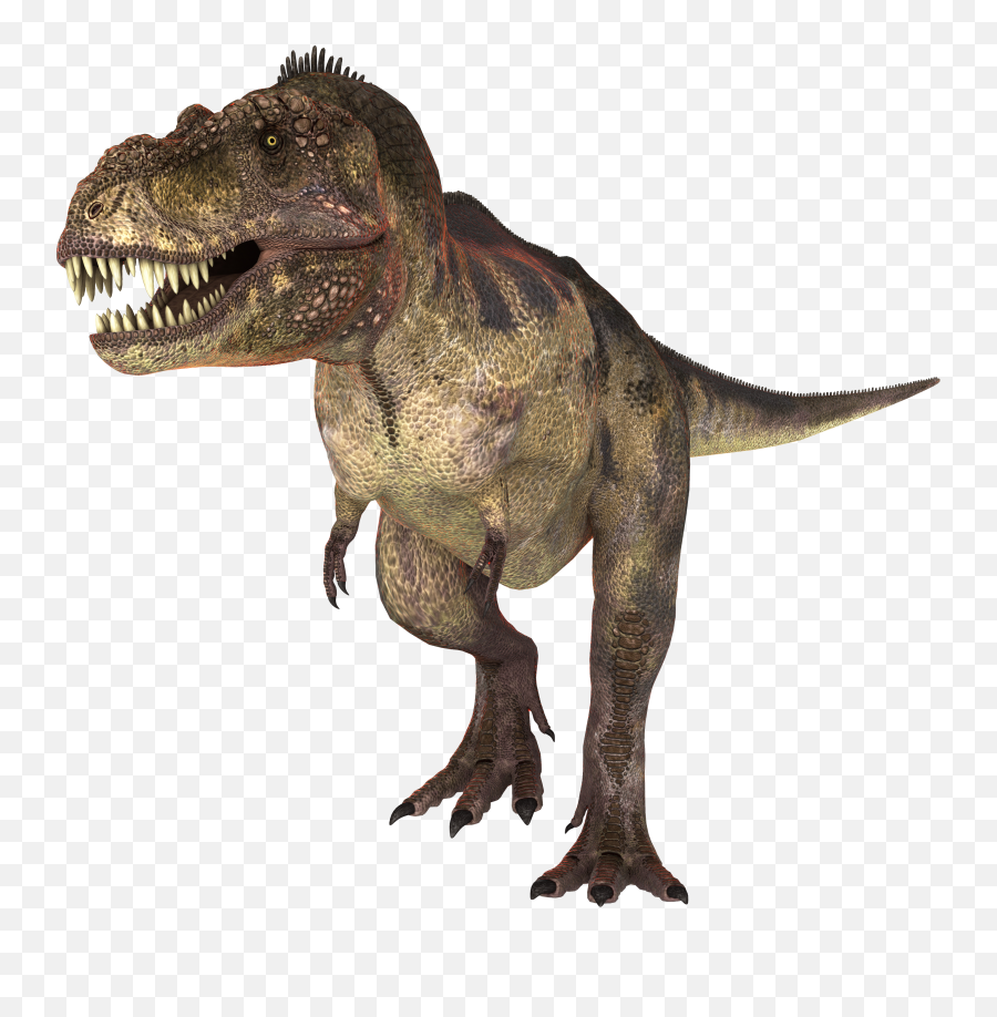 Dinosaur Png - Dinosaur Trex,Dinosaur Png
