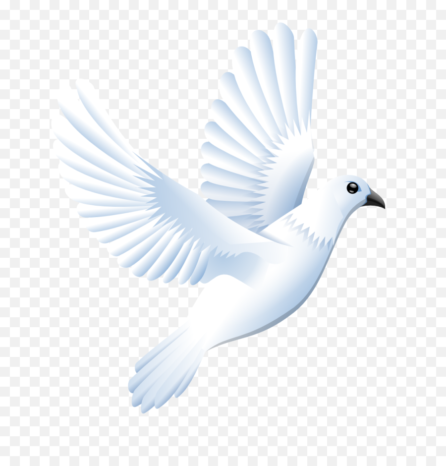 Free White Dove Transparent Background Download Clip - White Bird Vector Png,Dove Transparent Background