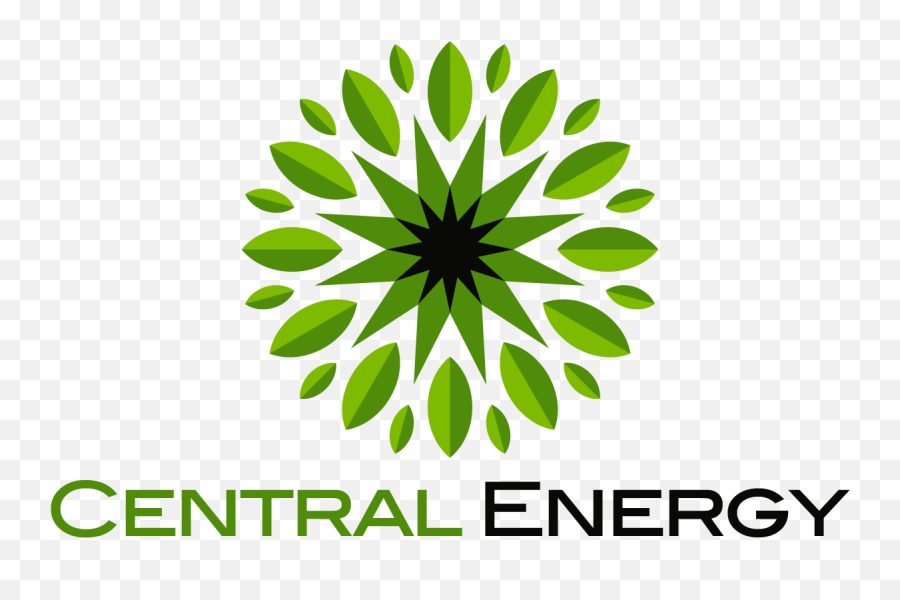 Leaf - Sunlogo Central Energy Boilers Uk Ananda Green Manthra Developers Png,Sun Logo
