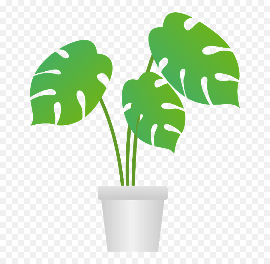 Monstera Houseplant Clipart Free Download Transparent Png - Monstera Clipart,House Plant Png