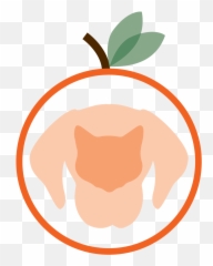 Animal Medical Center Of Orange - Clip Art Png,Orange Cat Png