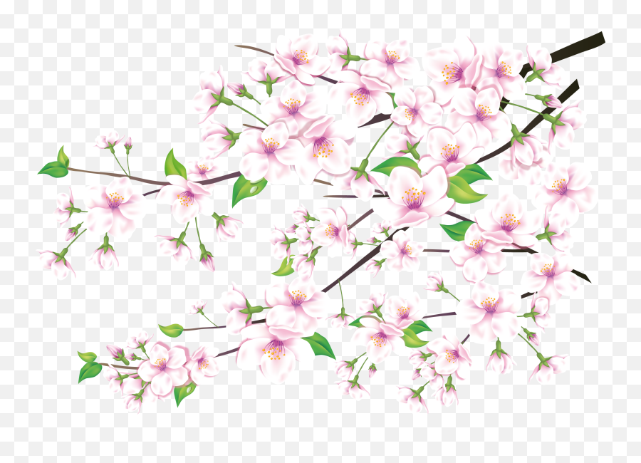 58 Sakura Png Images Are Free To Download Petals