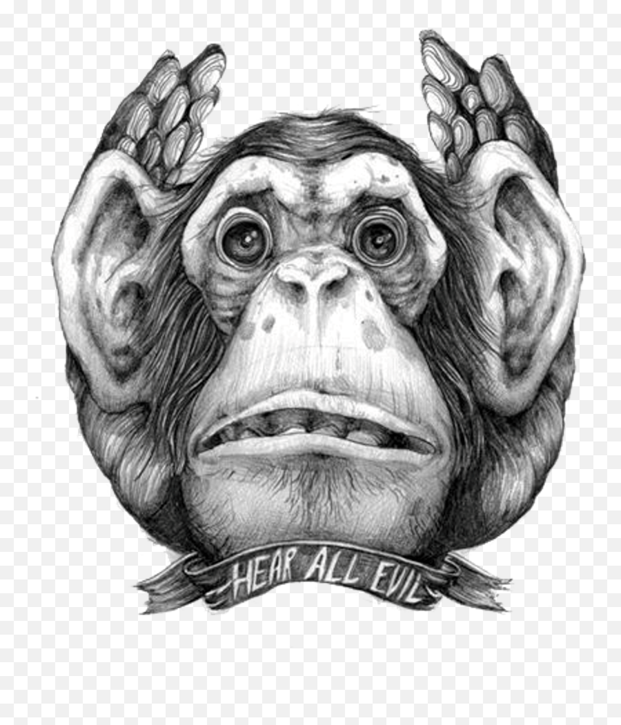 Charra Drawing Lowrider Transparent Png Clipart Free - See Drawing Three Wise Monkeys,Lowrider Png