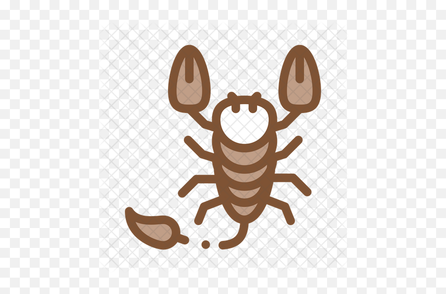 Scorpion Icon - Illustration Png,Scorpion Png