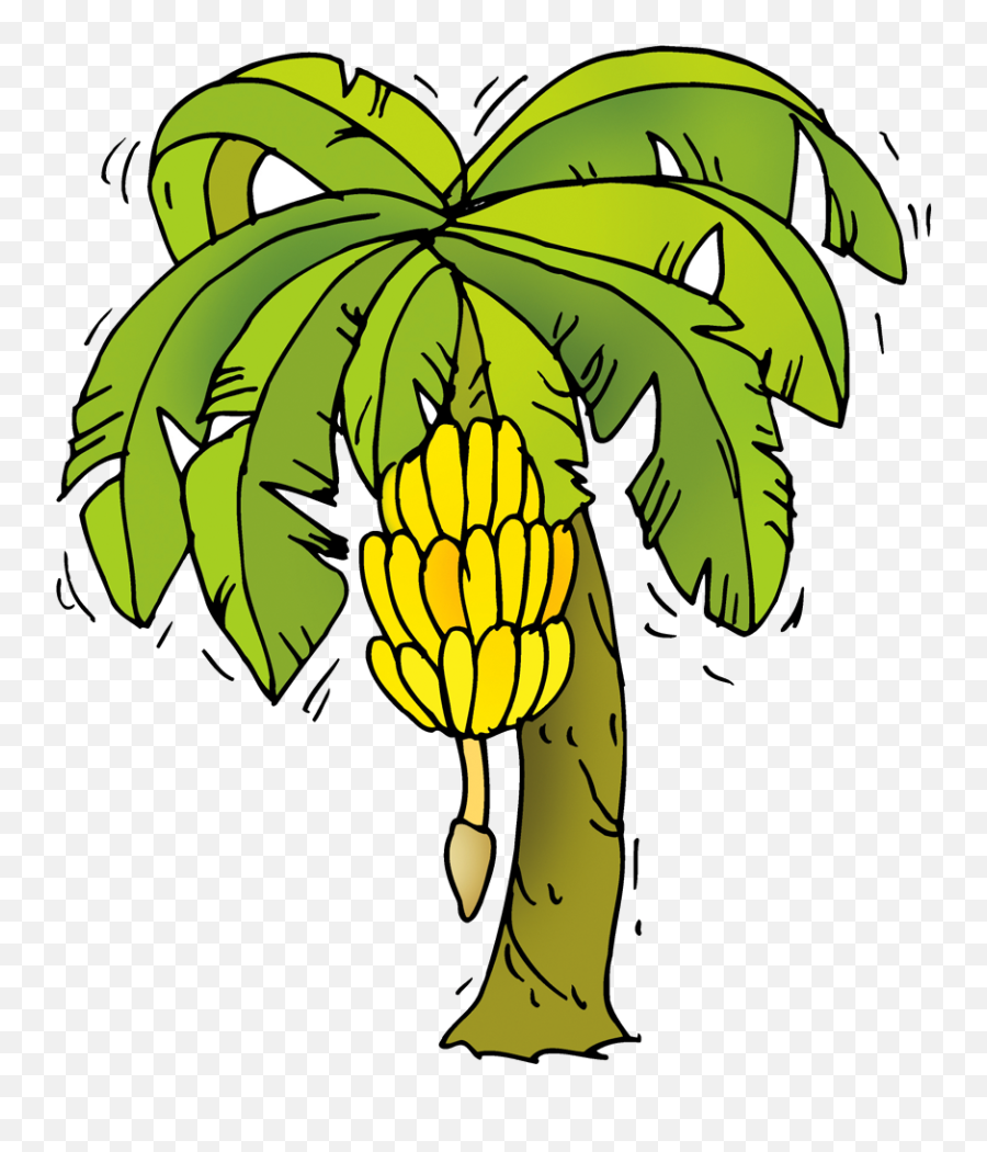 Banana Tree Cartoon Png - Banana Tree Clipart Png,Banana Tree Png