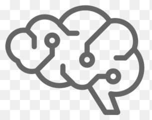 Brain Png Transparent