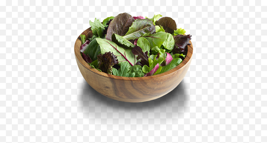 Spring Mix Romaine Lettuce What Are - Bowl Png,Romaine Lettuce Png