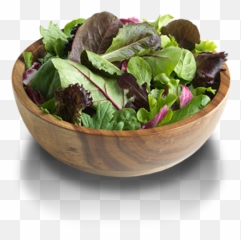 Spring Mix Romaine Lettuce What Are - Bowl Png,Romaine Lettuce Png