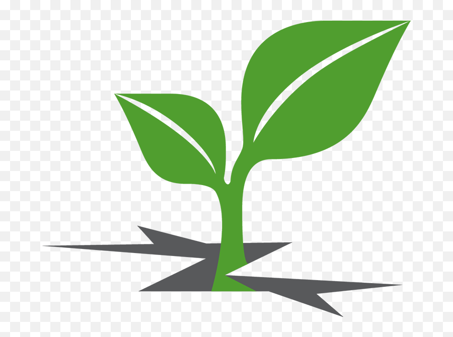 Plant Sprout Clipart - Crime Victims Treatment Center Png,Sprout Png