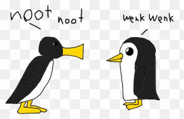 Image - 768473 Noot Noot Know Your Meme Noot Noot Vs Gunter Png,Pingu Png