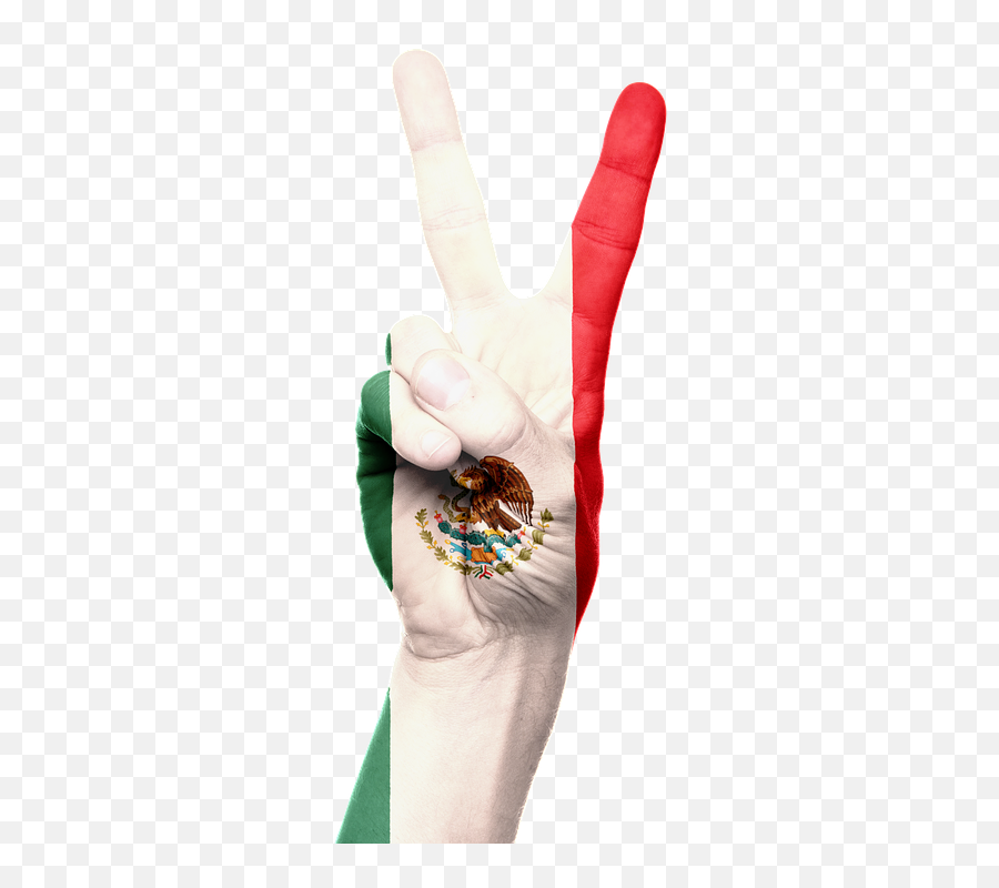 Mexico Flag Hand - Free Image On Pixabay Flag Of Mexico Png,Bandera De Mexico Png