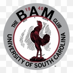 Free Transparent Gamecock Png Download - Ceahlu National Park,Gamecocks Logo Png