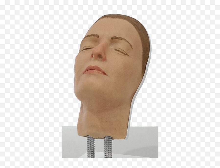 Facial Mannequin Training Program - Facial Filler Training Head Png,Mannequin Head Png