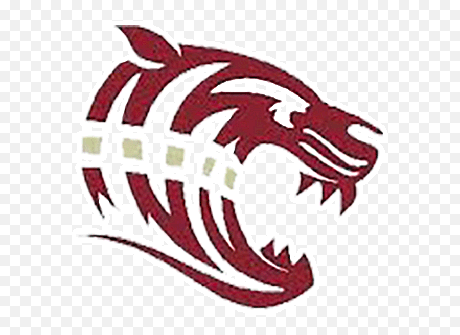 Team Home Dawson County Tigers Sports - Dawson County Schools Tiger Png,Playgirls Logo