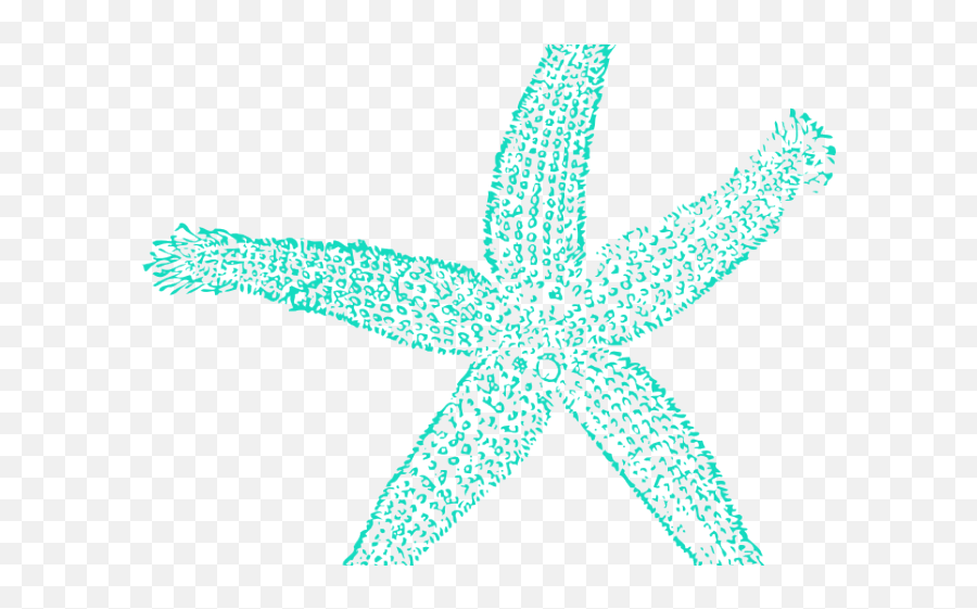 Drawn Starfish Transparent Background - Fish Clip Art Png,Starfish Transparent