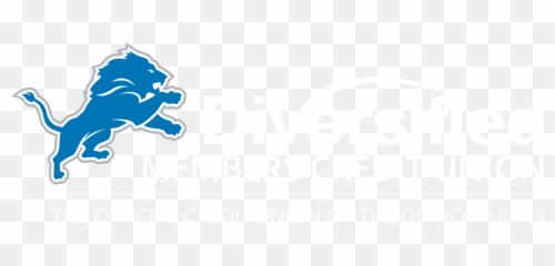 Download Hd Dmcu Logo - Wincraft Detroit Lions 3x5 Feet Detroit Lions Png,Detroit Lions Logo Png