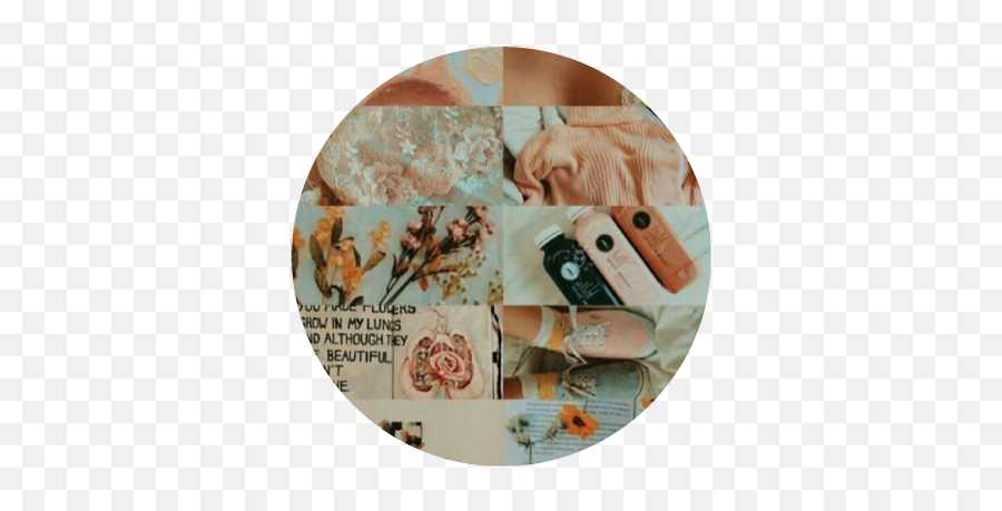 Aesthetic Fall Aesthetics 304312086241211 By Summervscoo - Peach Pastel Aesthetic Pfp Png,Flower Icon For Twitter