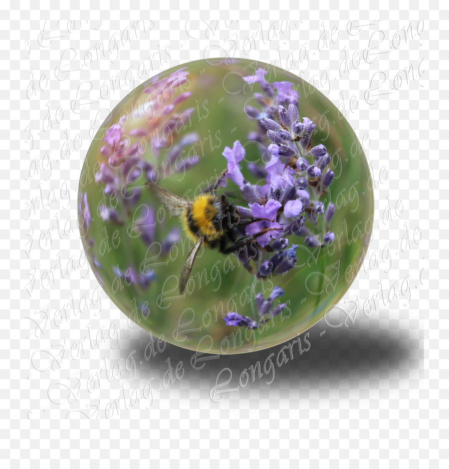 File Glass Sphere Bumblebee Png