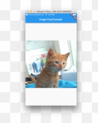 Dart - How do I crop an image in Flutter Stack Overflow Image Crop Resize png