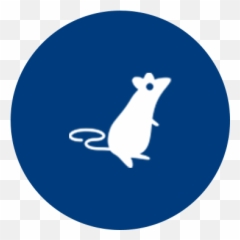Stark Exterminators Pest U0026 Termite Control For Al Ms Nc Sc - Rat png