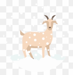 Form 4 Biology - Animal Figure png