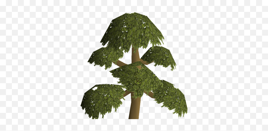 Yew Tree Old School Runescape Wiki Fandom Png Witchwood Icon Rs3