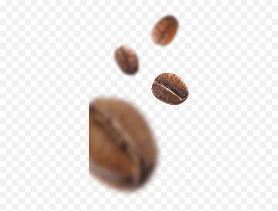 Coffee Bean Png - Coffee Beans Closeup 1203436 Vippng Macro Photography,Coffee Beans Transparent