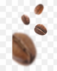 Coffee Bean Png - Coffee Beans Closeup 1203436 Vippng Macro Photography