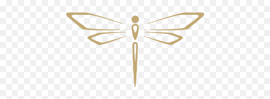 Dragonfly Gold Gallery 36 - Dragonfly Designs Png,Dragonfly Png