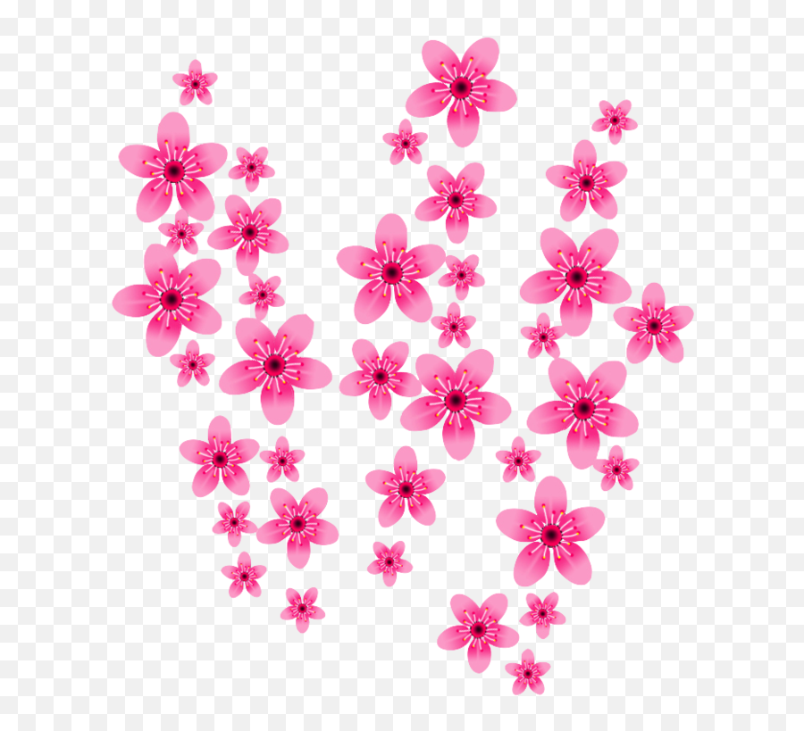 Download Hd No Background - Cherry Blossom Png No Background Cherry Blossom,Cherry Blossom Png