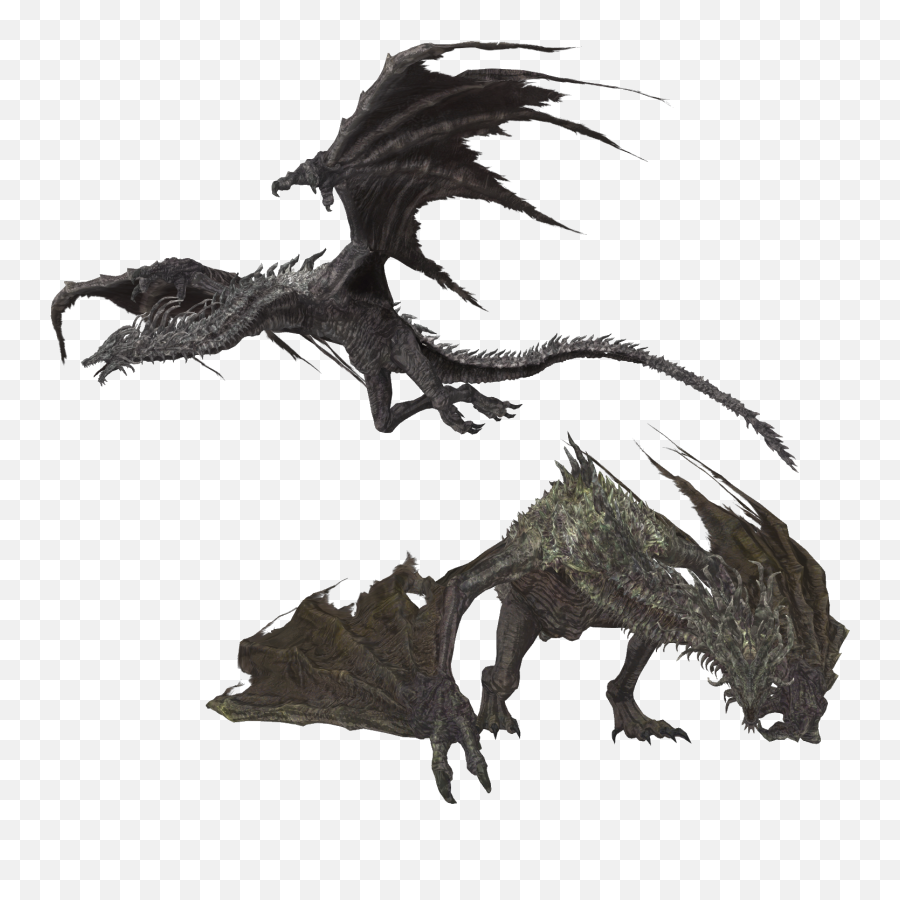 Dragon Wyvern Smaug Dark Souls The Elder Scrolls V Skyrim - Dragon Wyvern Png,Elder Scrolls Png