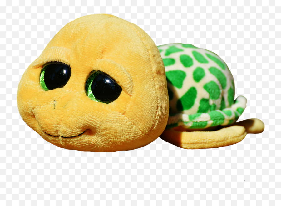 Turtle Stuffed Animal Soft Toy - Free Photo On Pixabay Turtle Teddy Bear Png,Stuffed Animal Png