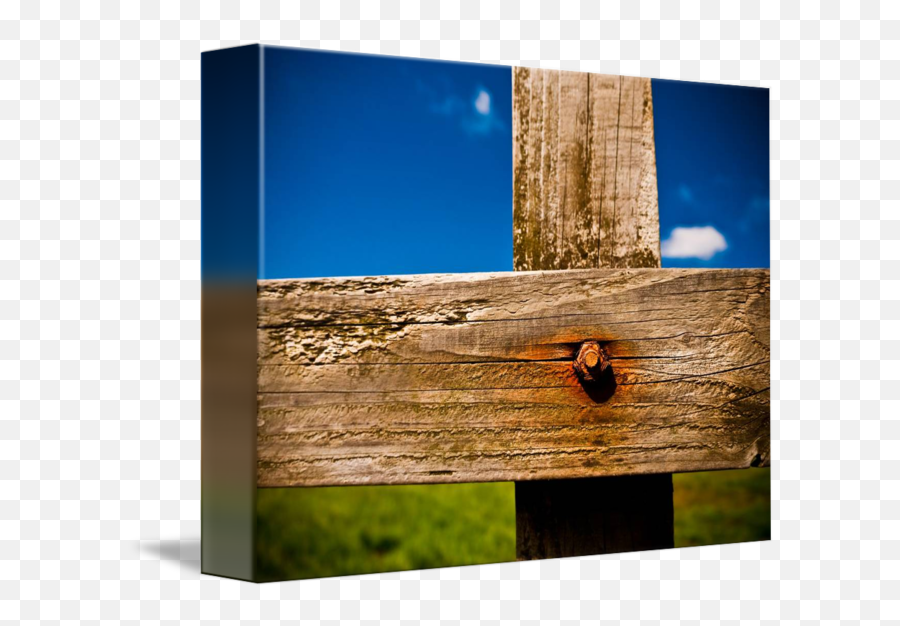 Rule Of Thirds By Matthew Osborne - Plank Png,Rule Of Thirds Png