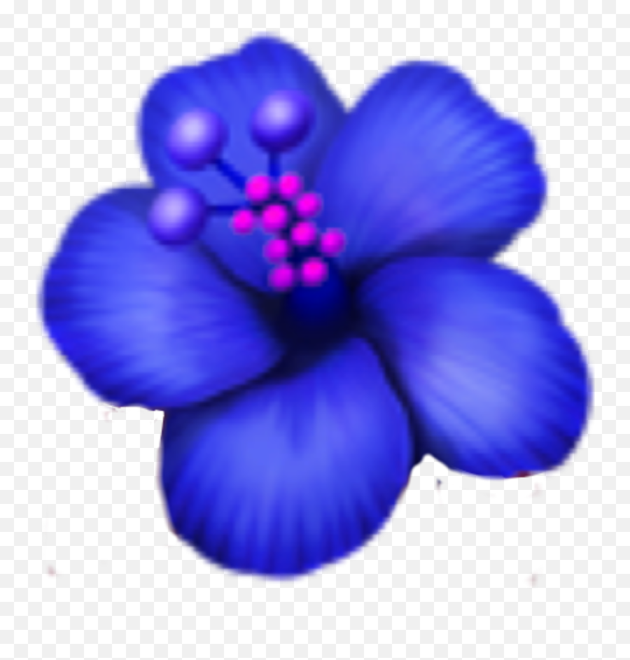 Blueflower Emoji Emojisticker Hawaiian Hibiscus Emoji Png Flower Emoji Png Free Transparent Png Images Pngaaa Com